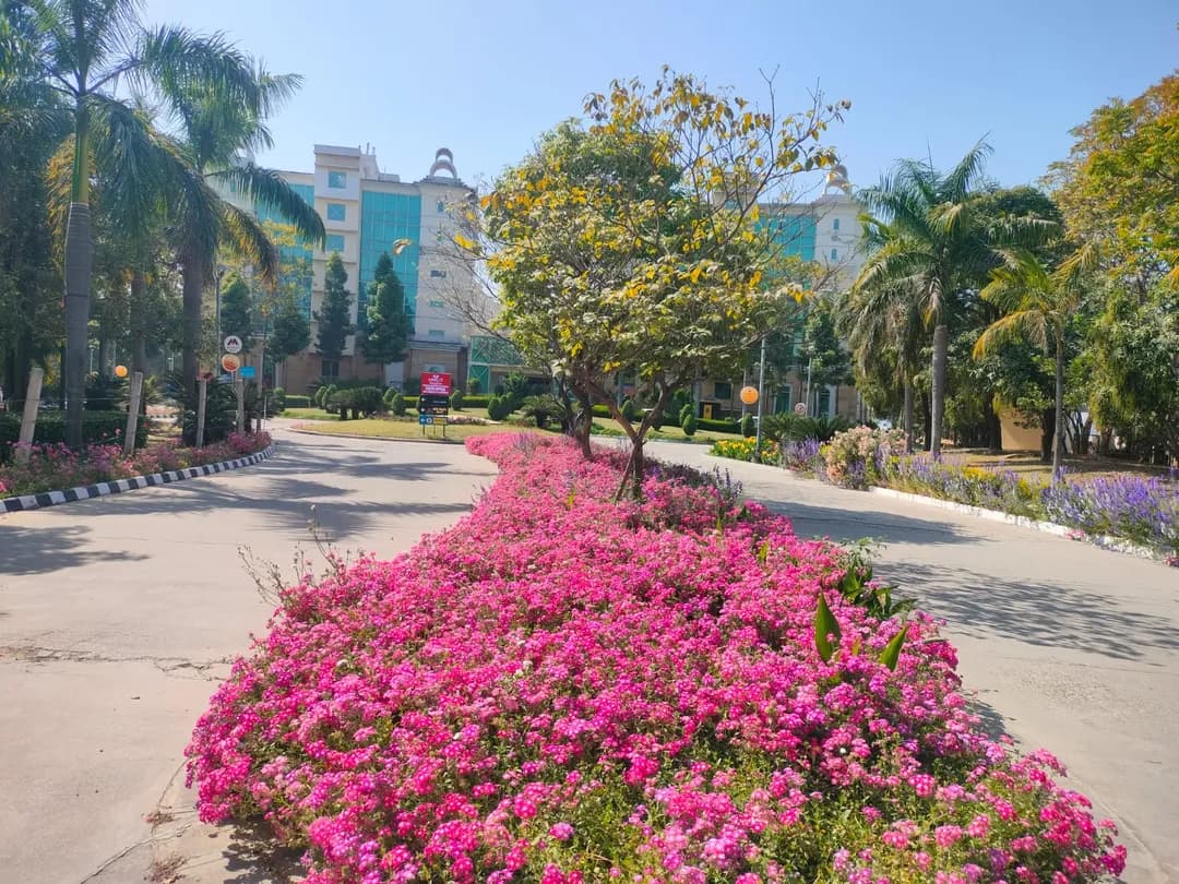 Amrit Arogyam - View 6